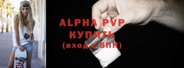 стаф Нефтегорск