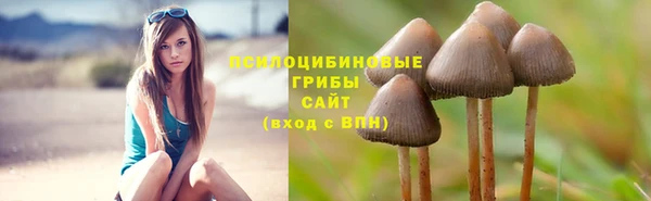 эйфоретик Новозыбков