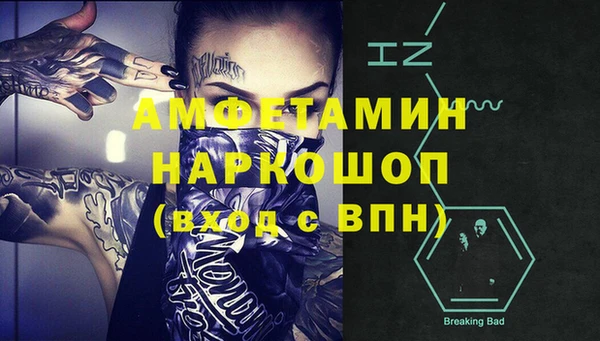 молекула духа Арсеньев