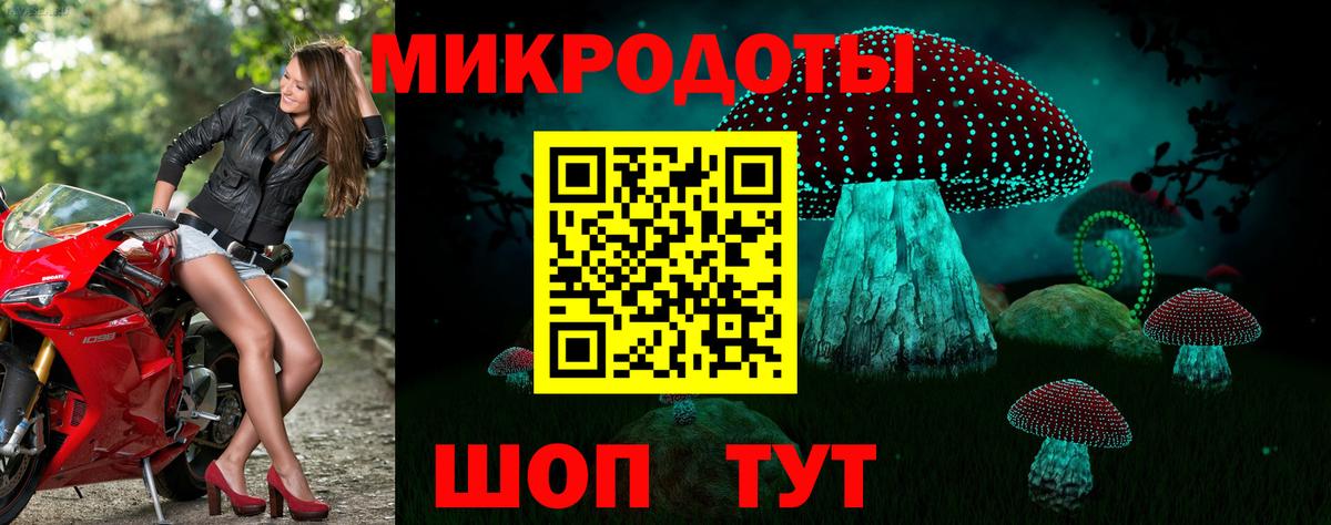 Псилоцибиновые грибы Magic Shrooms Клинцы